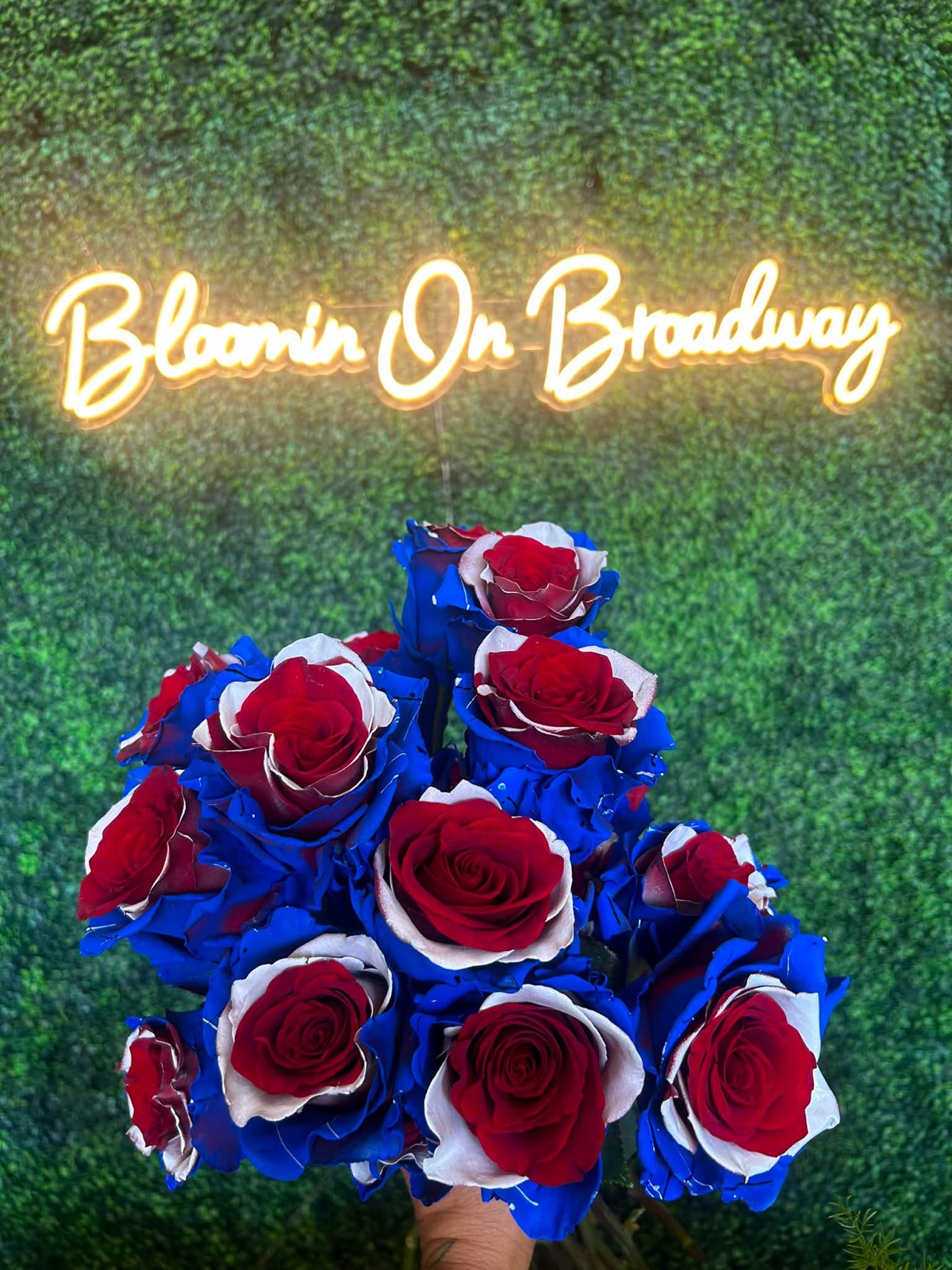 A bouquet of red, white and blue dyed roses against the boxwood wall